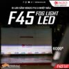 bi-led-gam-kenzo-f45-3nhiet-mau-6000k