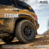 mam-black-rhino-etosha-5