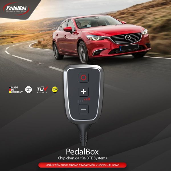 chip-chan-ga-mazda-600×600