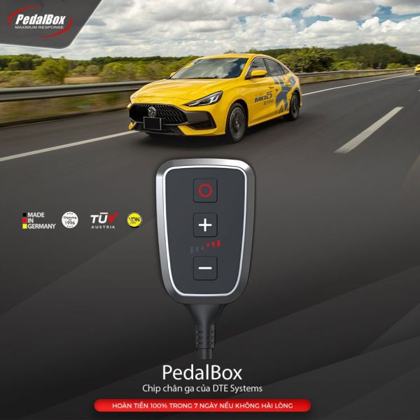 chip-chan-ga-mg-600×600