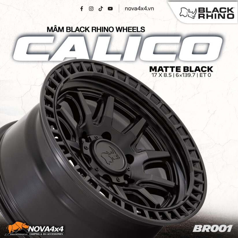 mam-black-rhino-calico