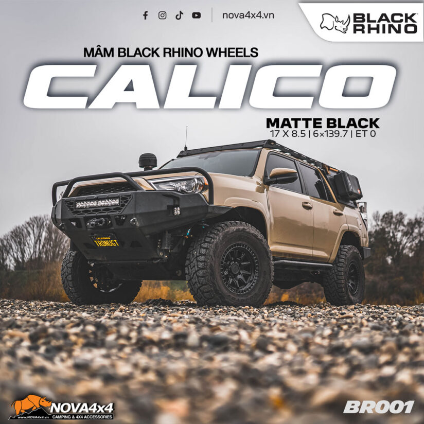 mam-black-rhino-calico3