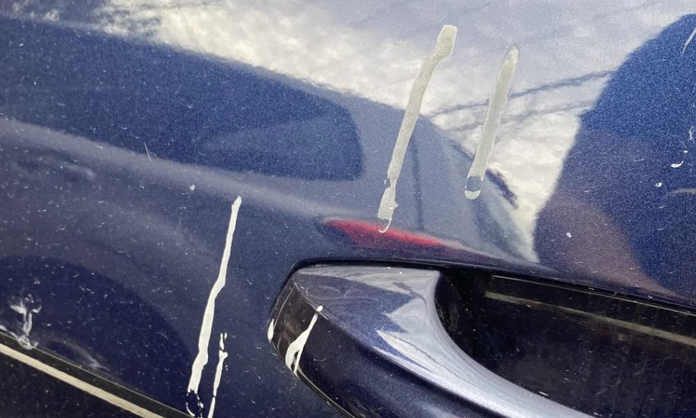 Nhựa cây khi khô lại sẽ bám cực kỳ chắc vào lớp sơn bóng